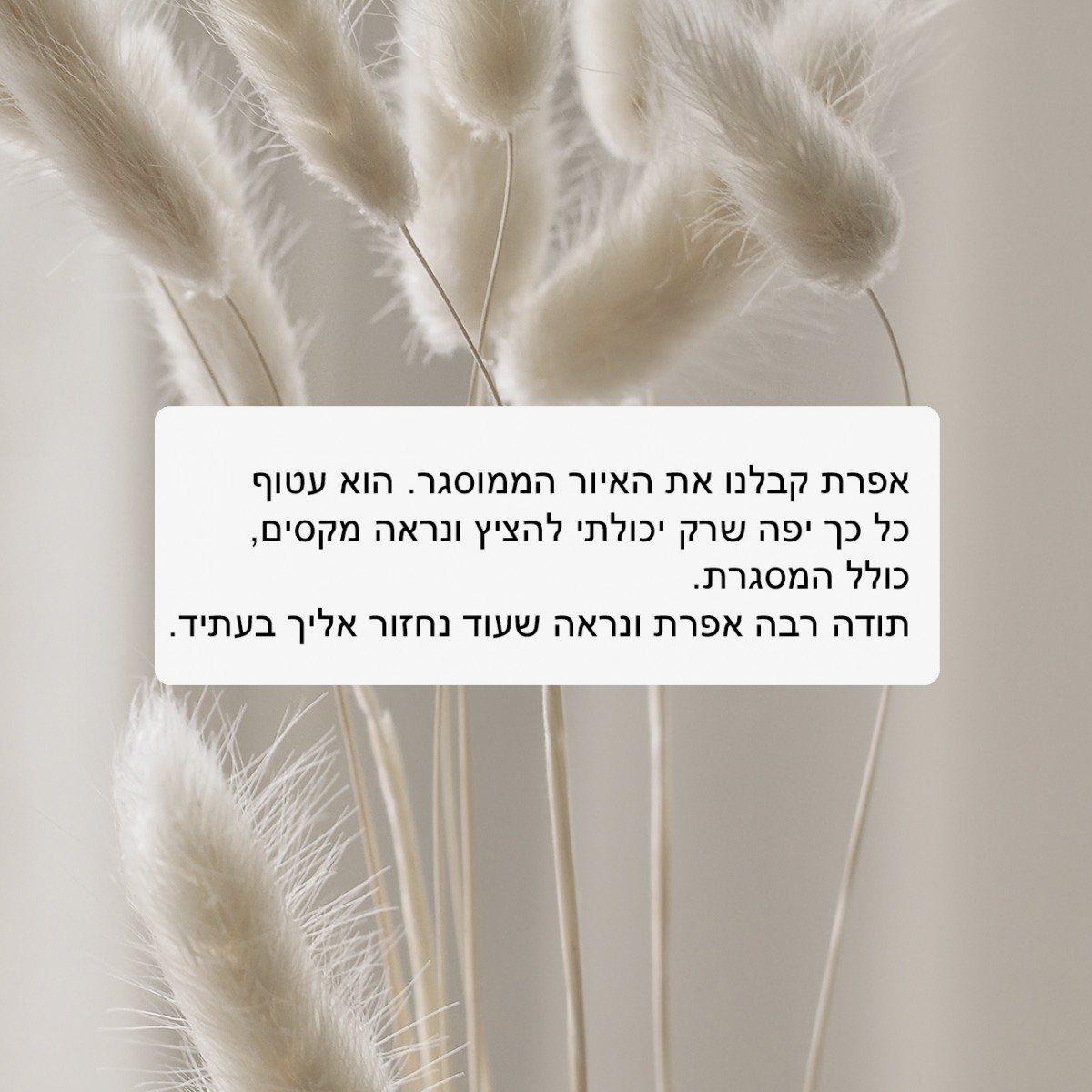 לקוחות כותבים