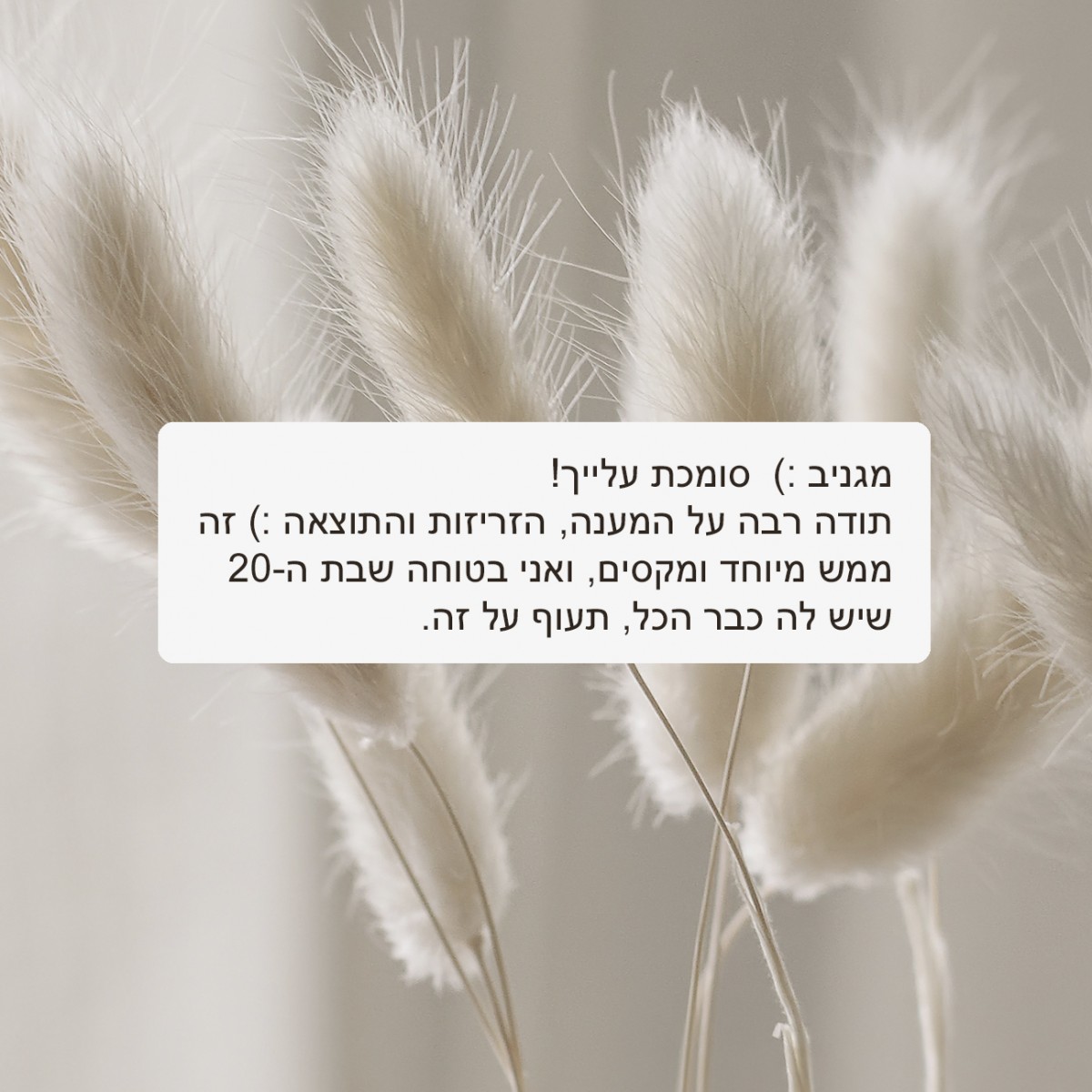 לקוחות כותבים