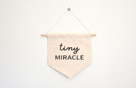 Wall flag | Tiny miracle